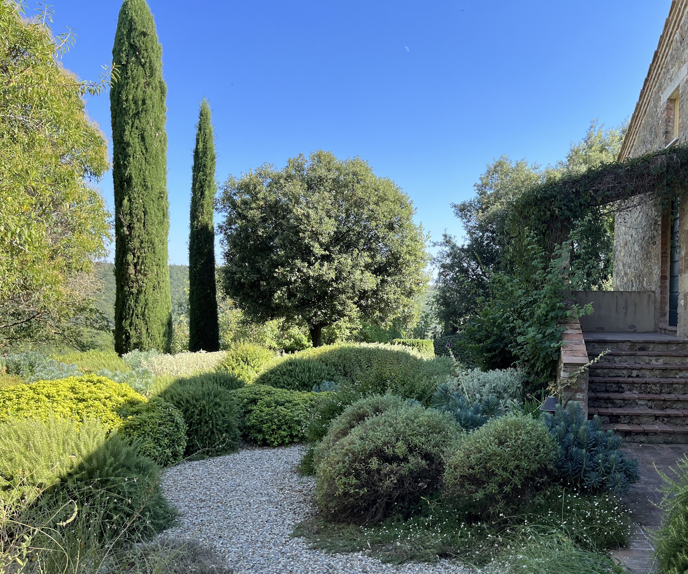 Tuscan garden in summer, with evergreen topiary domes and cypress spires beyond