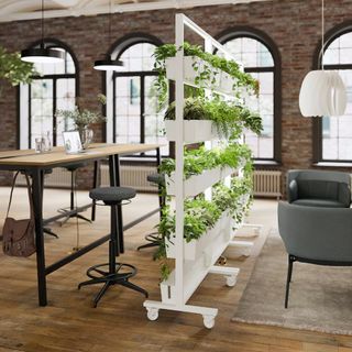 IKEA MITTZON frames with plants on them in an office space