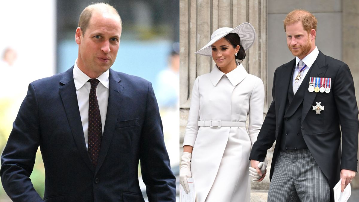 Prince William ‘unlikely To ‘ever’ Rebuild Bond With Sussexes | Woman ...