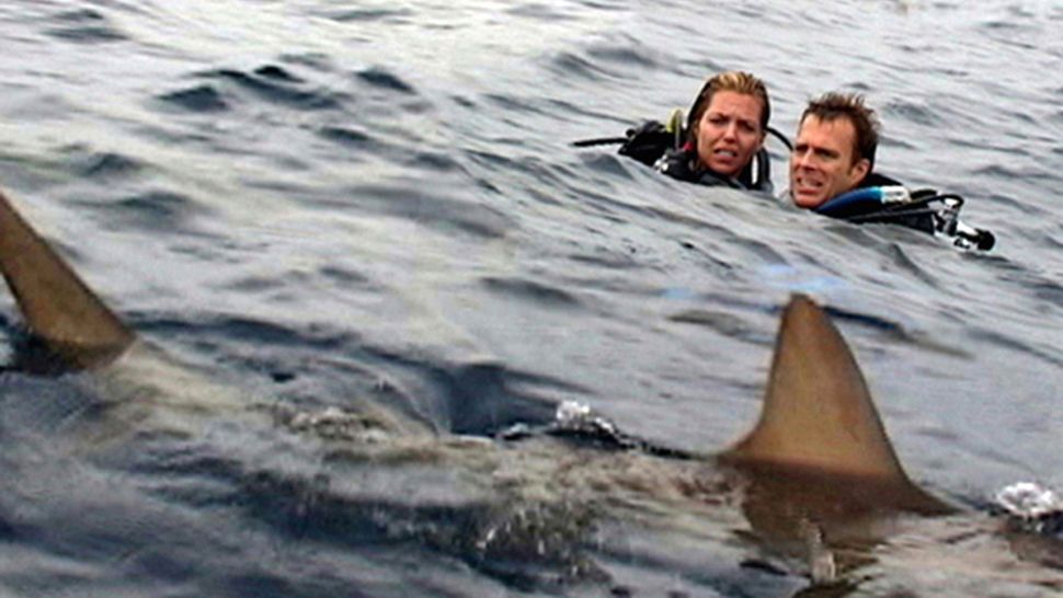 Best shark movies of all time, ranked | Live Science