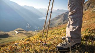 Hiking shoes and walking poles, with view over the dam of Tignes