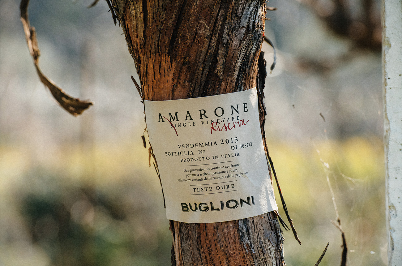Buglioni_vigna_testedure.jpg