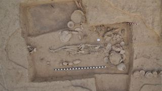 This is a photo of an old skeleton, surrounded by ancient ceramics. It is believed to be a typical Indus Valley Civilization grave.