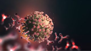 coronavirus being surrounded on left side by antibody molecules