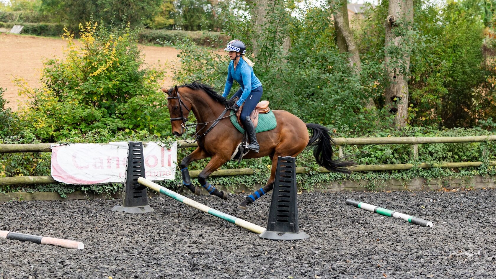 Bay horse cantering over poles in an arena with rider wearing blue jumper practising an exercise to improve suppleness