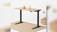 Jarvis Bamboo Adjustable Standing Desk