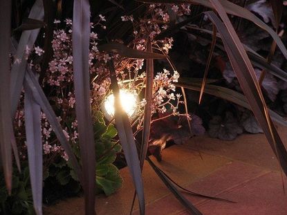 Light In An Outdoor Garden