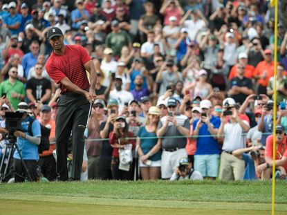 TV Ratings Prove Tiger Woods Is Golf's Biggest Draw