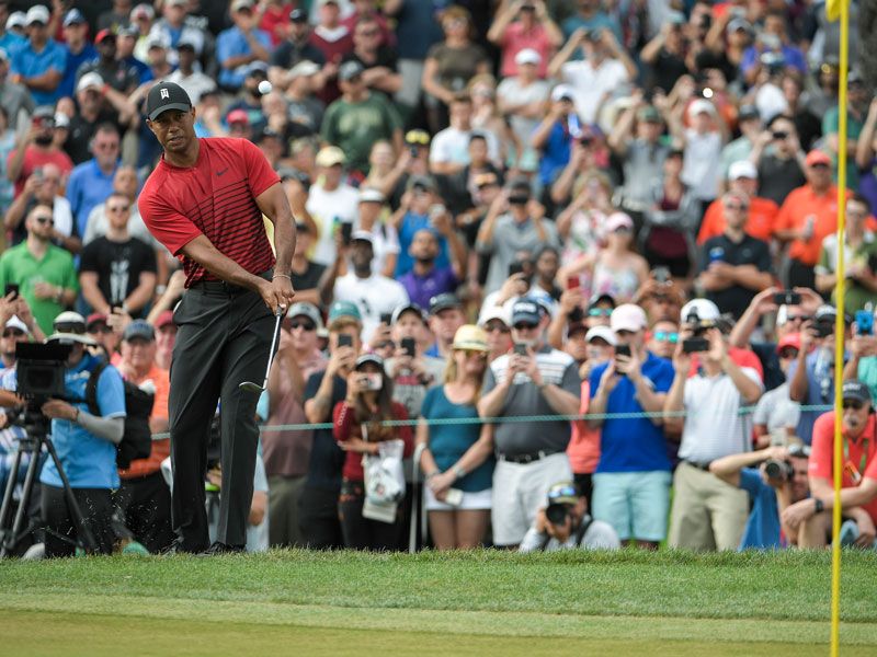 TV Ratings Prove Tiger Woods Is Golf&#039;s Biggest Draw