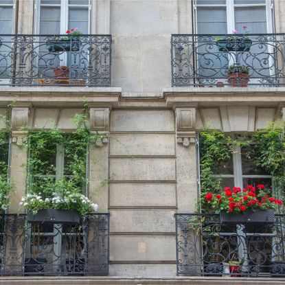 Window boxes filled with flowers in a Paris balcony garden