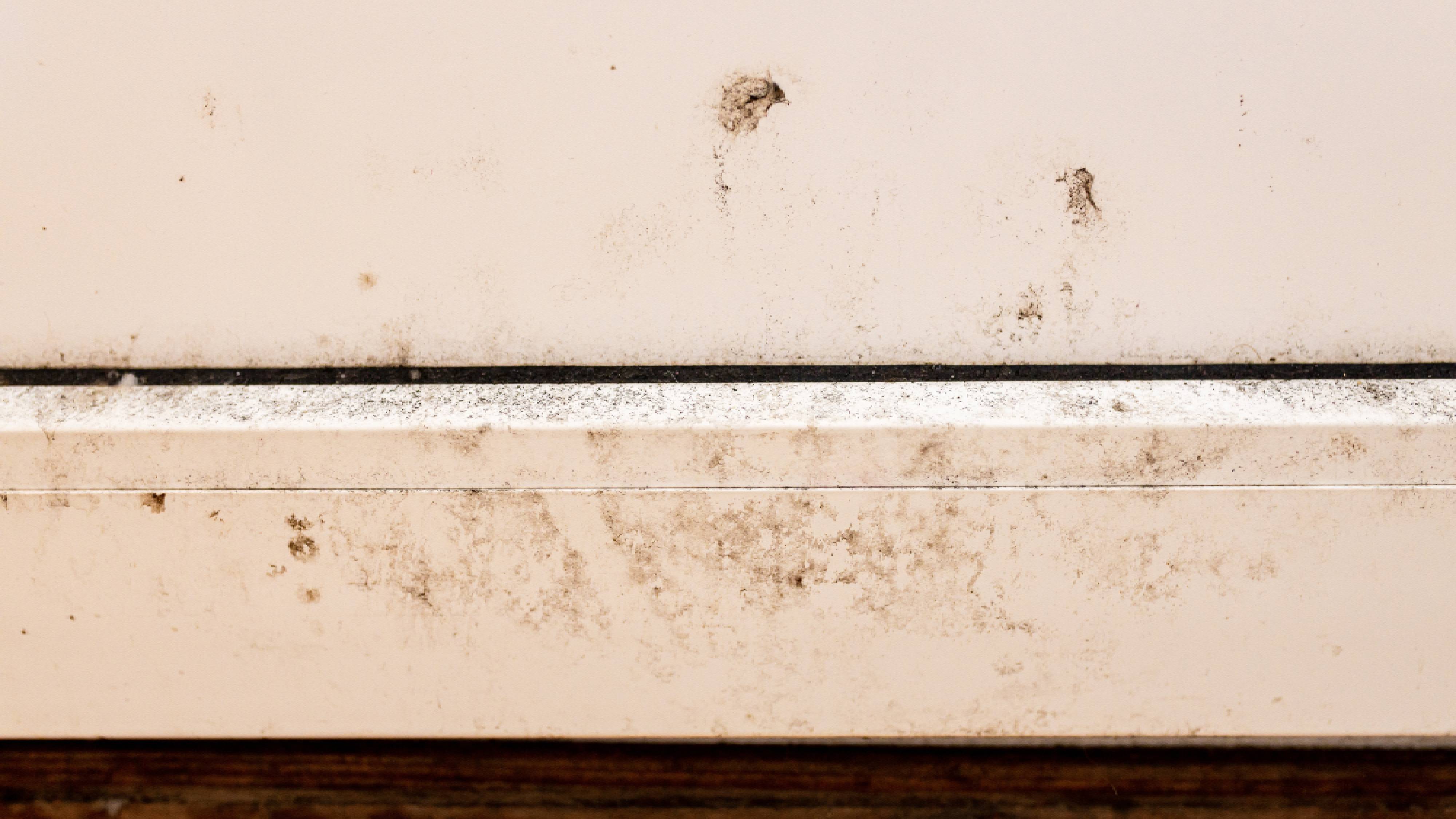 Dirty wall and baseboard