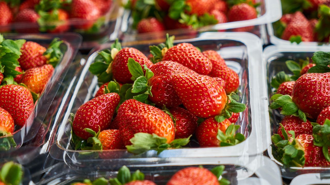 Supermarket strawberry punnets