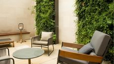 Vertical garden full of foliage