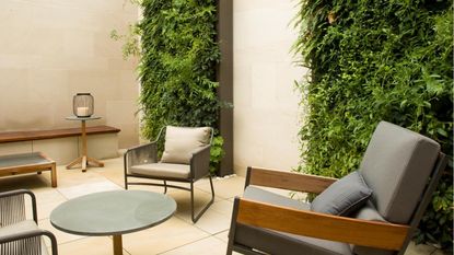 Vertical garden full of foliage