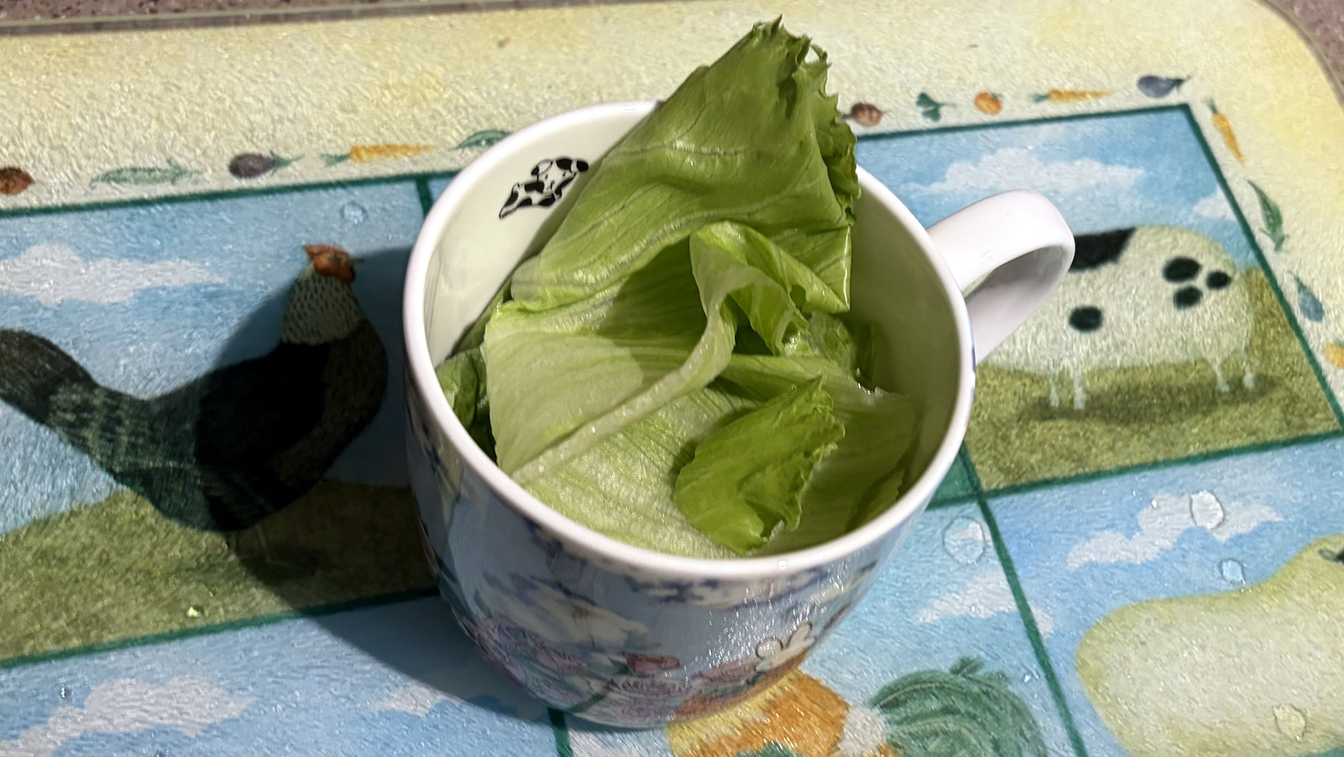 A close up of a mug with water and a lettuce leaf in it