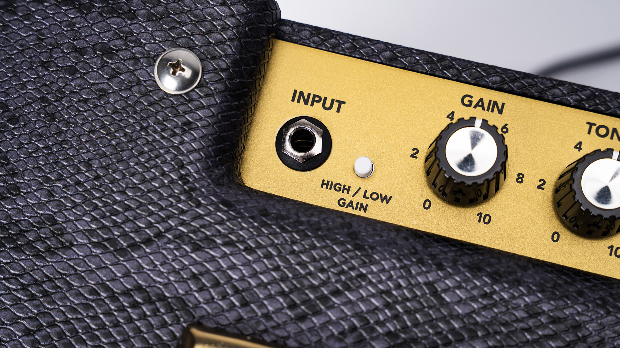 Magnatone Slash the Lil’ Viper 8-watt combo amp press image