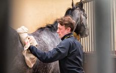 Stable-Staff-Week.jpg