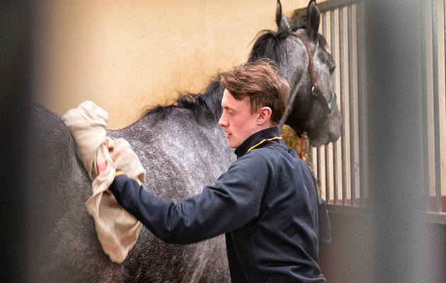 Stable-Staff-Week.jpg