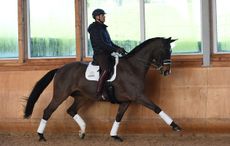 Spencer Wilton riding Super Nova at his new base at Endalls Farm in Hare Hatch near Reading in Buckinghamshire in the UK. Image taken on 28th January 2016.