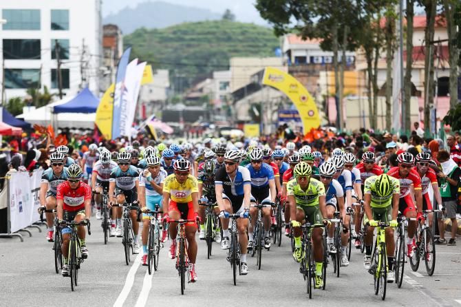 The pelotonrolsl out for stage four
