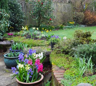 patio and lawn with summer pots