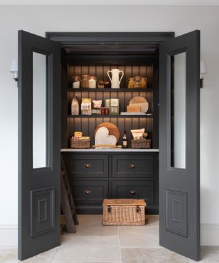 walk-in pantry with lighting