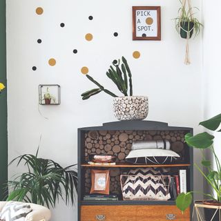 A living room decorated with houseplants