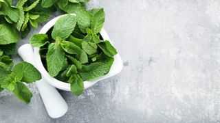 Mint leaves in a mortar with a pestle