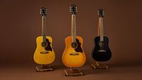 Epiphone Hummingbird Tribute