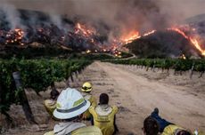 Cape Winelands fire, South Africa
