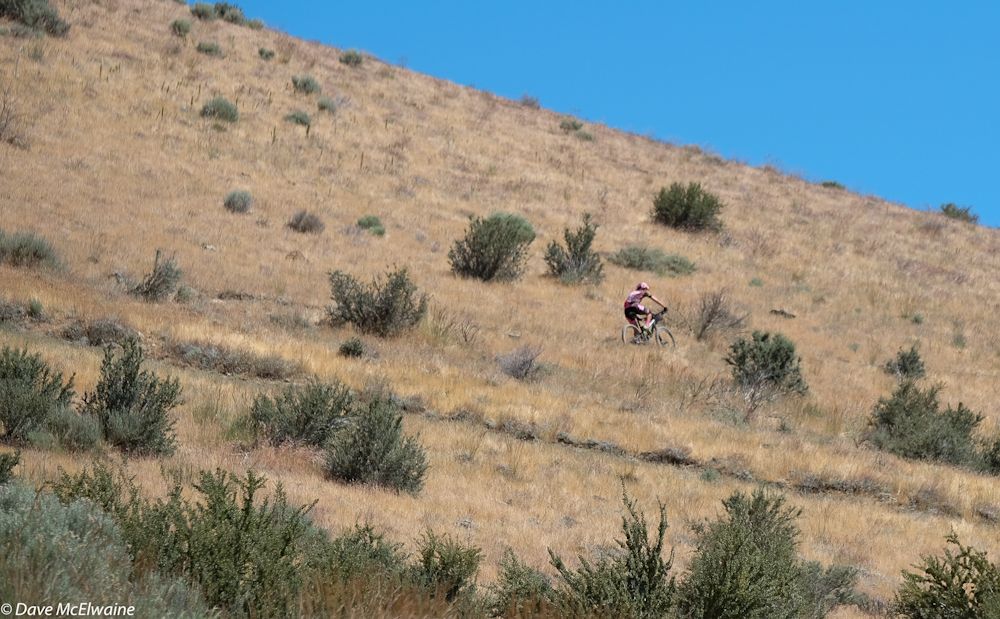 Jenny Smith (Stans NoTubes) traversing an open hillside near the end of her second lap.
