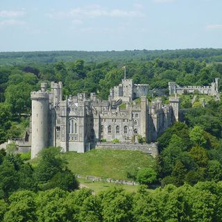 arundel castle with trees