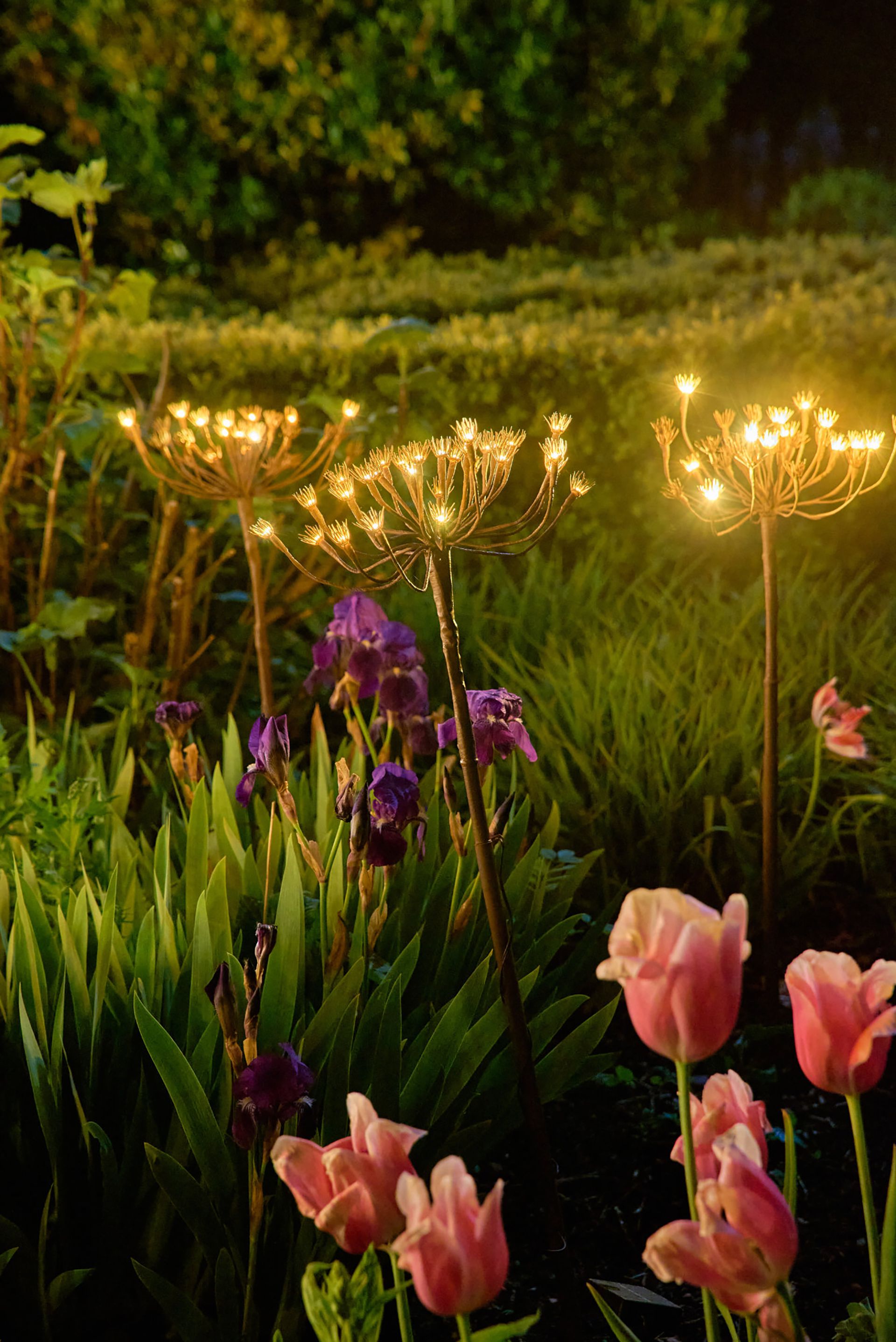 Solar garden lighting ideas: 18 pretty, energy-saving ideas | Homes & Gardens