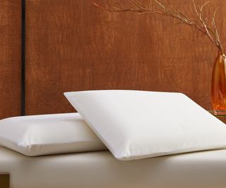 Sofitel Memory Foam Pillows against a wood wall.