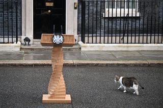 Downing street Lectern with Larry the cat