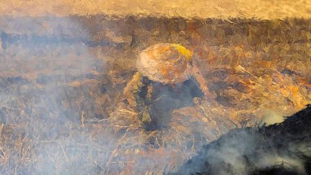 Impressionism: From Photography to Painting by Réhahn