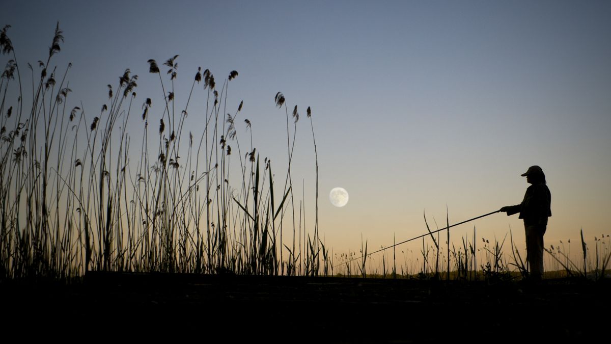 Best fishing times when is the best time to go fishing Advnture