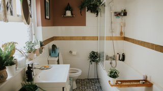 Bathroom with small plants