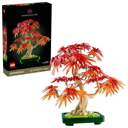 Botanicals Japanese Red Maple Bonsai Tree