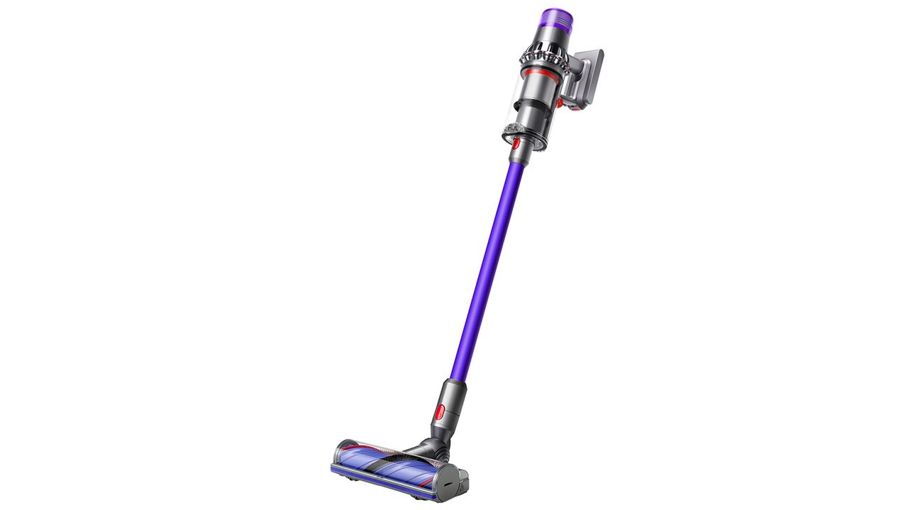 Dyson V11
