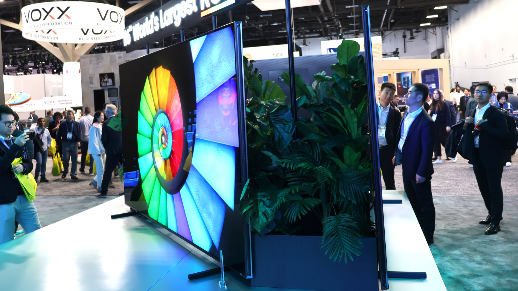 The Hisense RGB Mini-LED 116UXS at CES 2026.