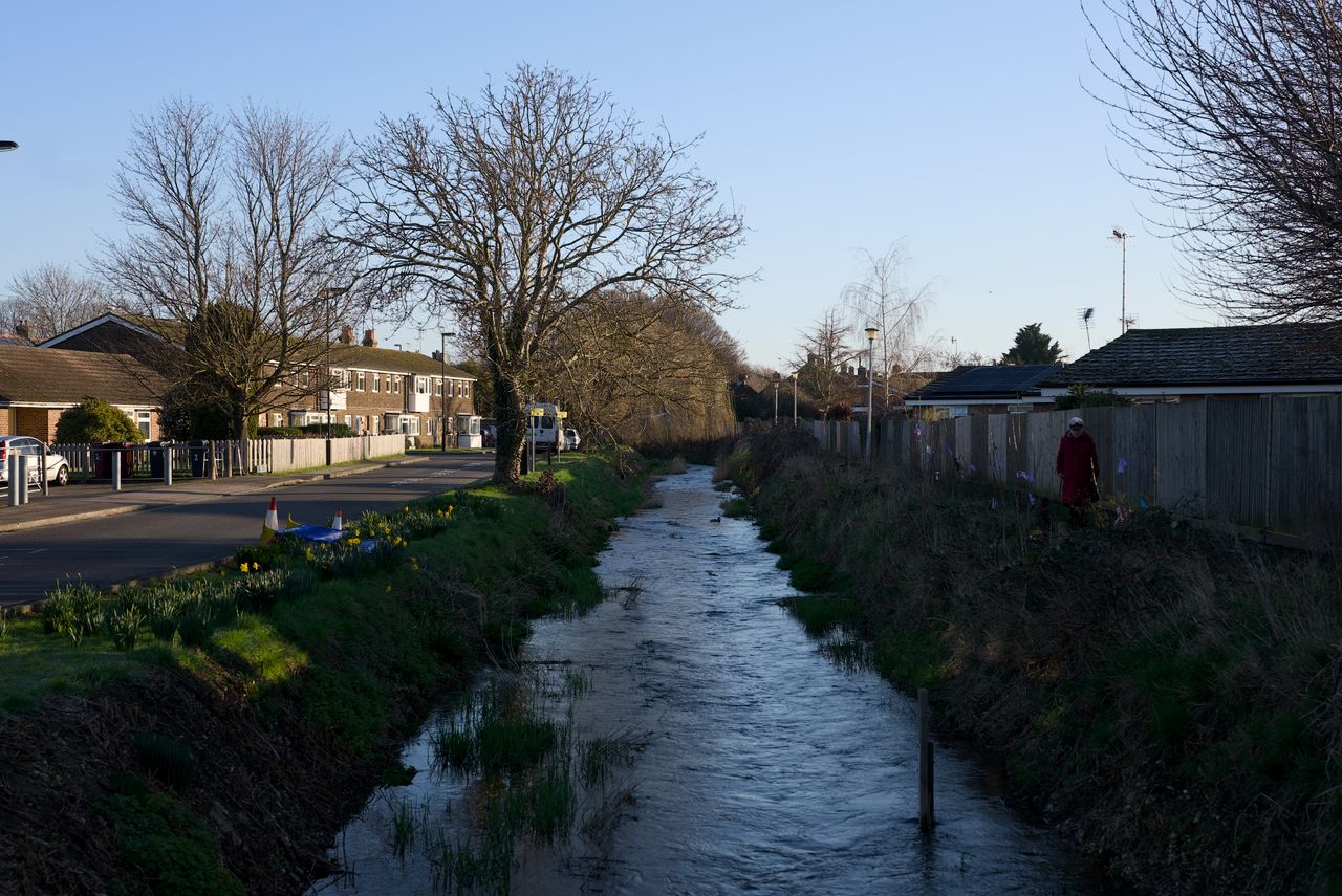 Sony FE 28-70mm f/2 GM lens test images, shot with the Sony A7S III camera body