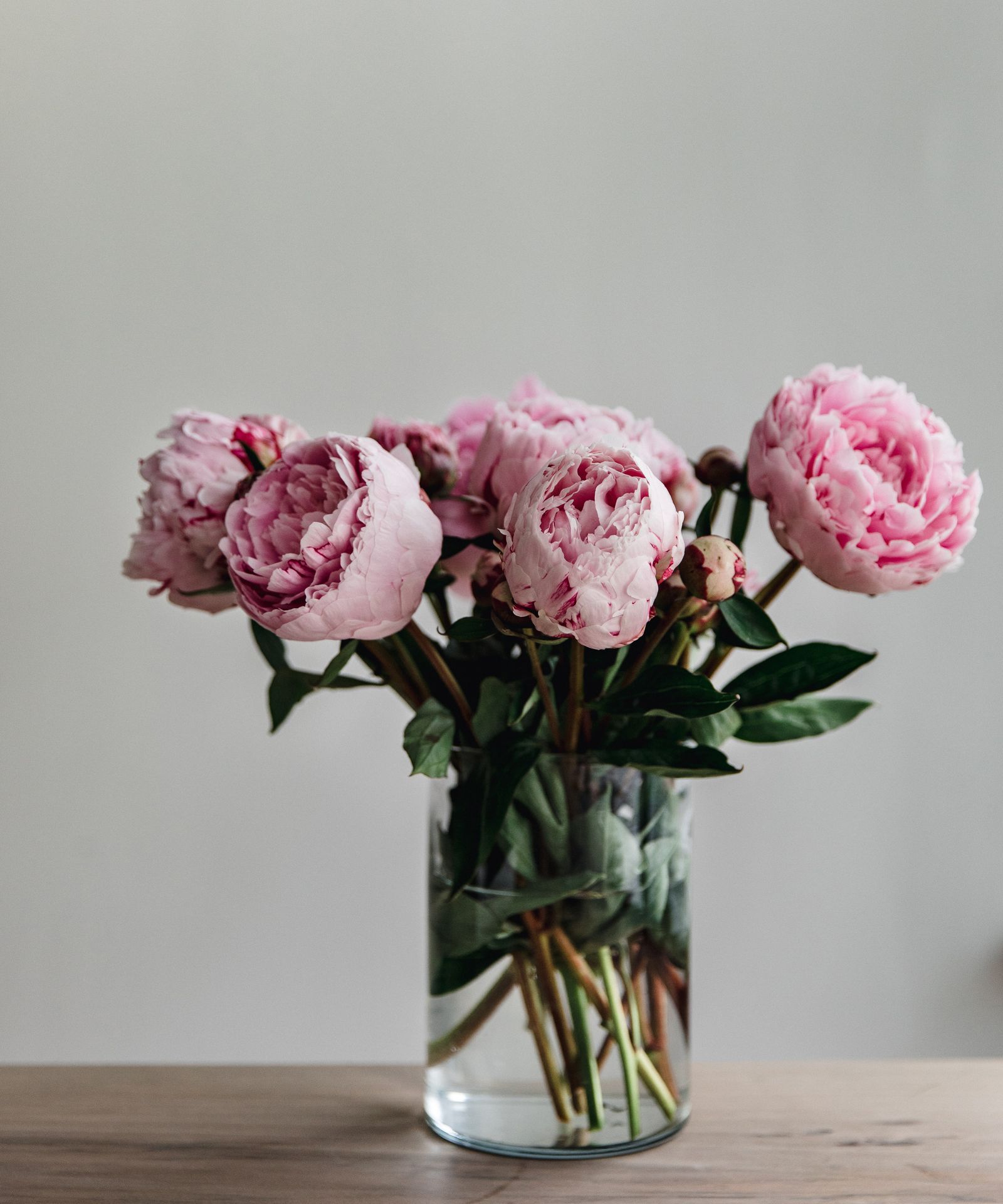 How to open peonies fast: the quickest way to force buds open | Homes ...