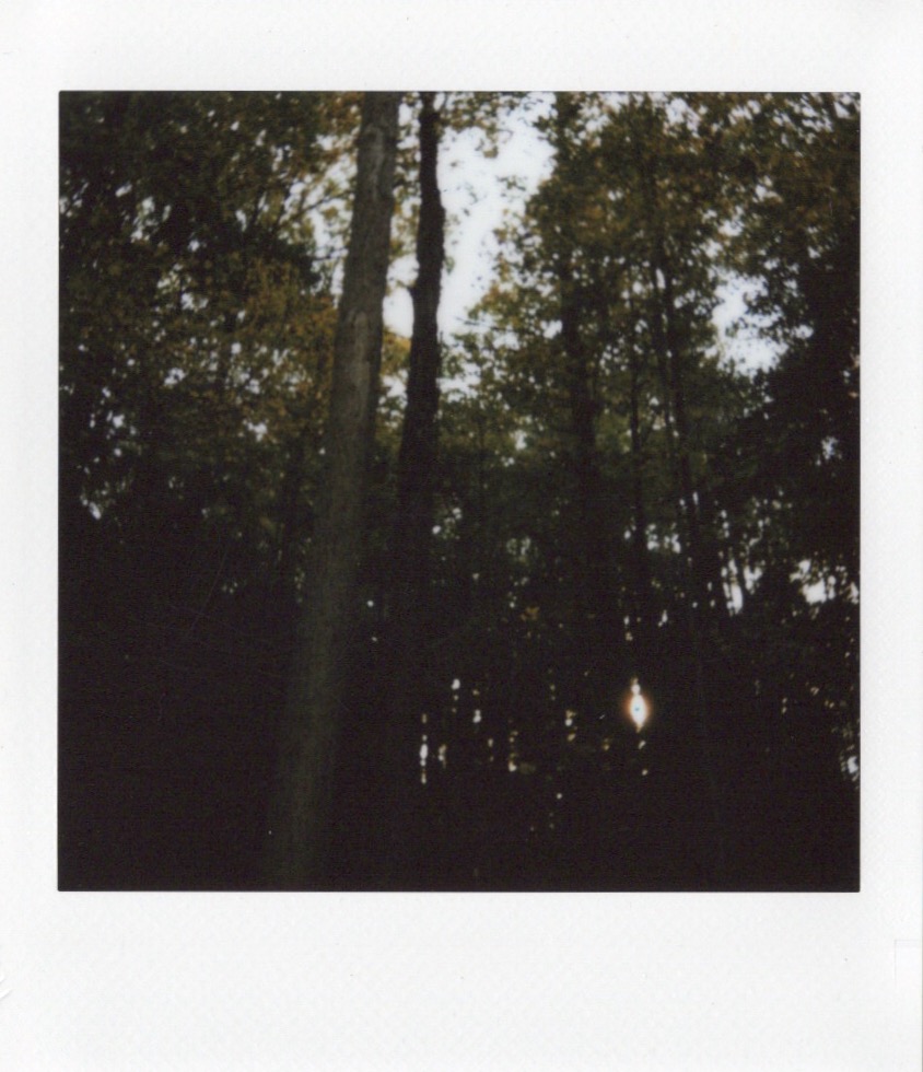 Image samples from the Fujifilm Instax Square 2