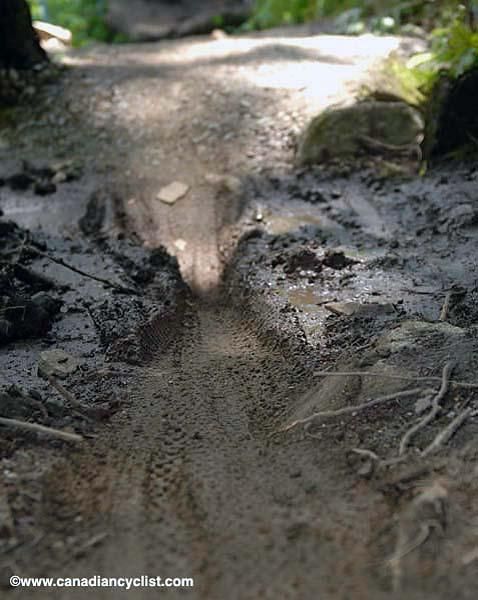 Lots of mud.