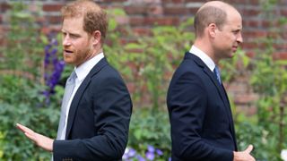 Prince Harry's sweet comment to Prince William