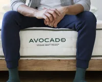 Avocado Vegan Hybrid: was $999 now $899 @ AvocadoUp to $250 off: