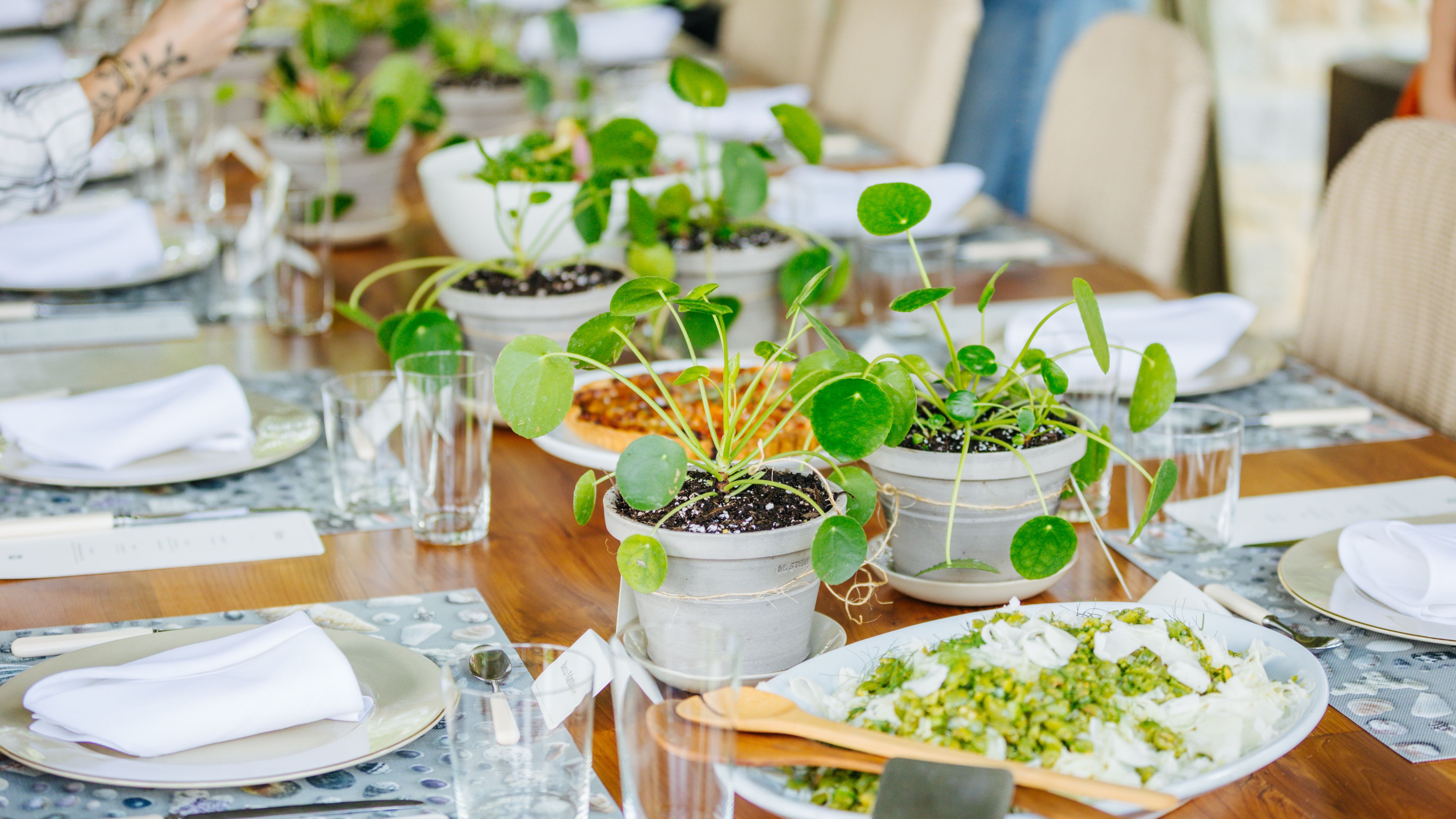 Outdoor summer tablescape featuring neutral tableware and a series of money trees
