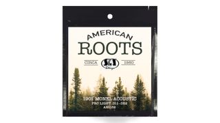 S.I.T. Strings American Roots Monel Acoustic Strings