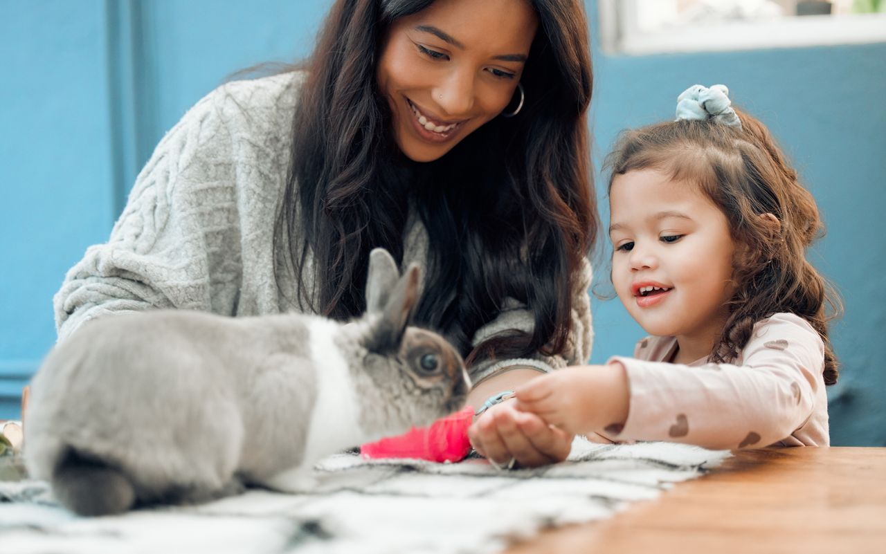 Mum and child with rabbit